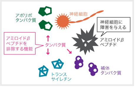 アルツハイマー型認知症の説明01 画像