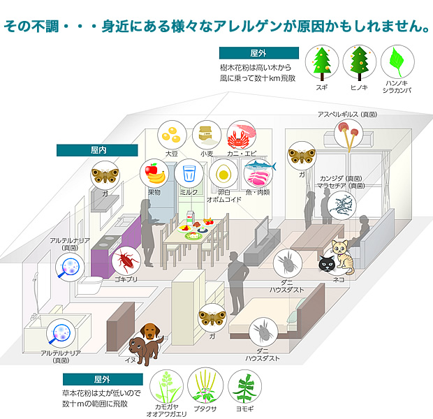 その不調・・・身近にある様々なアレルゲンが原因かもしれません。